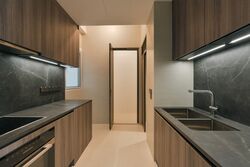 Klimt Cairnhill (D9), Apartment #520458891